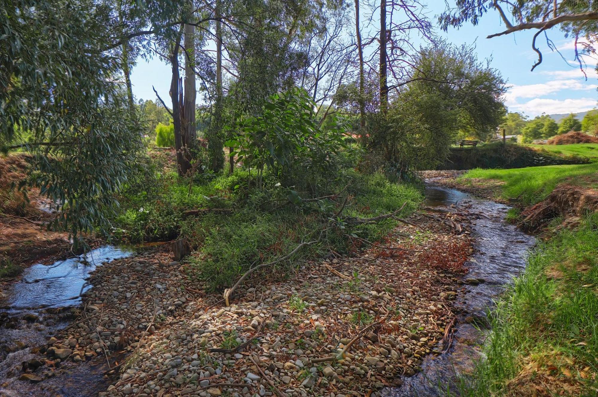 A Holiday Home For All Seasons - Modern, Peaceful, Family Friendly Healesville Exterior foto